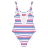 Bigender Flag One-Piece Swimsuit