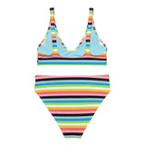 Queer Flag High-Waisted Bikini