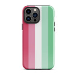 Abrosexual Flag Tough iPhone Case