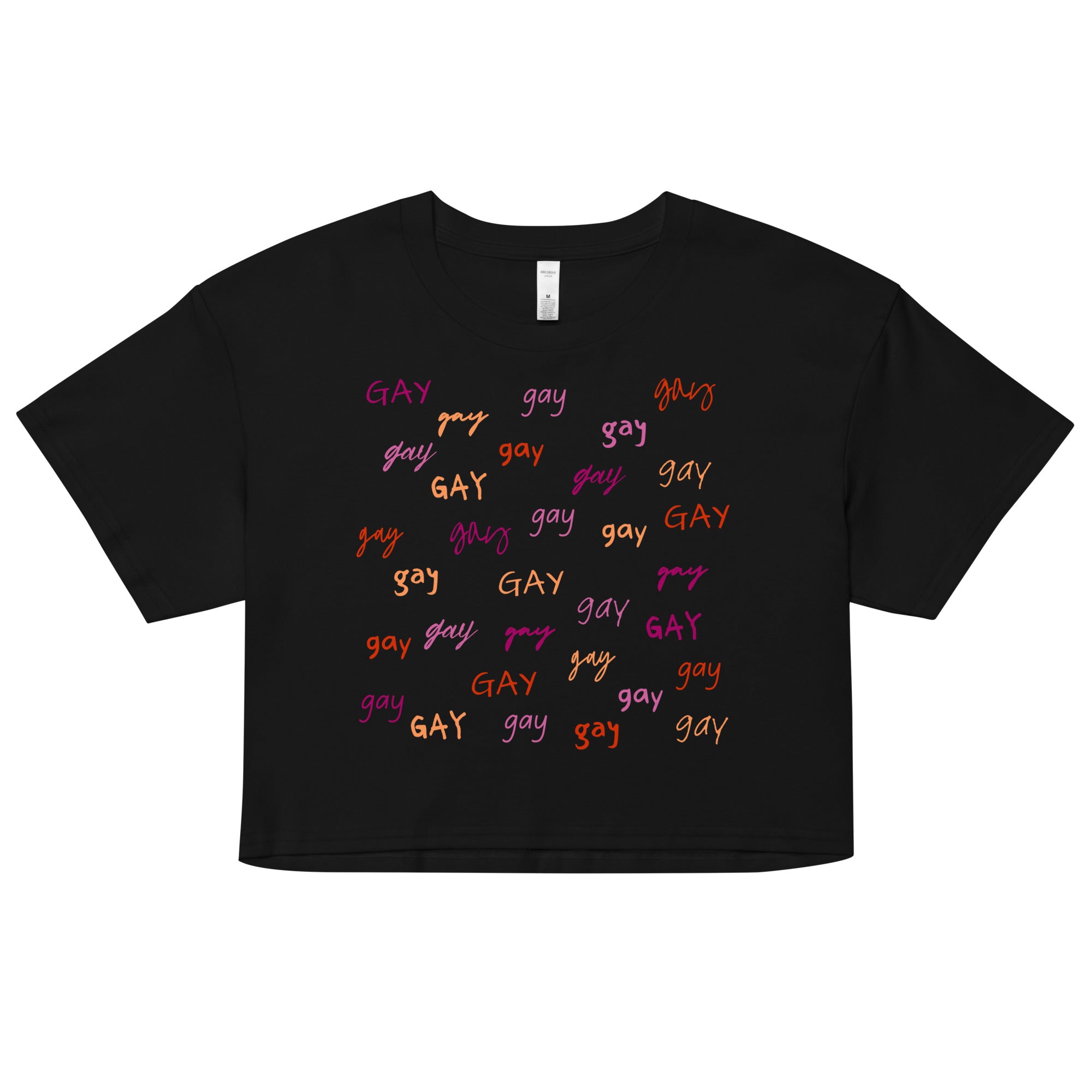 Say Gay Lesbian Colors Crop Top