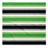 Aromantic Flag Bandana