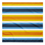 AroAce Flag Bandana