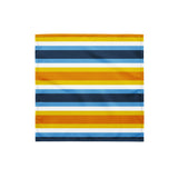 AroAce Flag Bandana