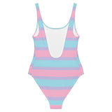 Pastel Bisexual One-Piece Swimsuit