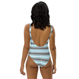 Demiboy Flag One-Piece Swimsuit
