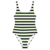 Agender Flag One-Piece Swimsuit