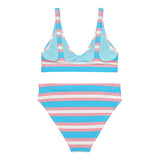 Transgender Flag High-Waisted Bikini