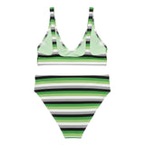 Aromantic / Demiromantic Flag High-Waisted Bikini