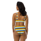 AroAce Flag High-Waisted Bikini