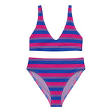 Bisexual Flag High-Waisted Bikini