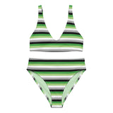 Aromantic / Demiromantic Flag High-Waisted Bikini