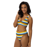 AroAce Flag High-Waisted Bikini
