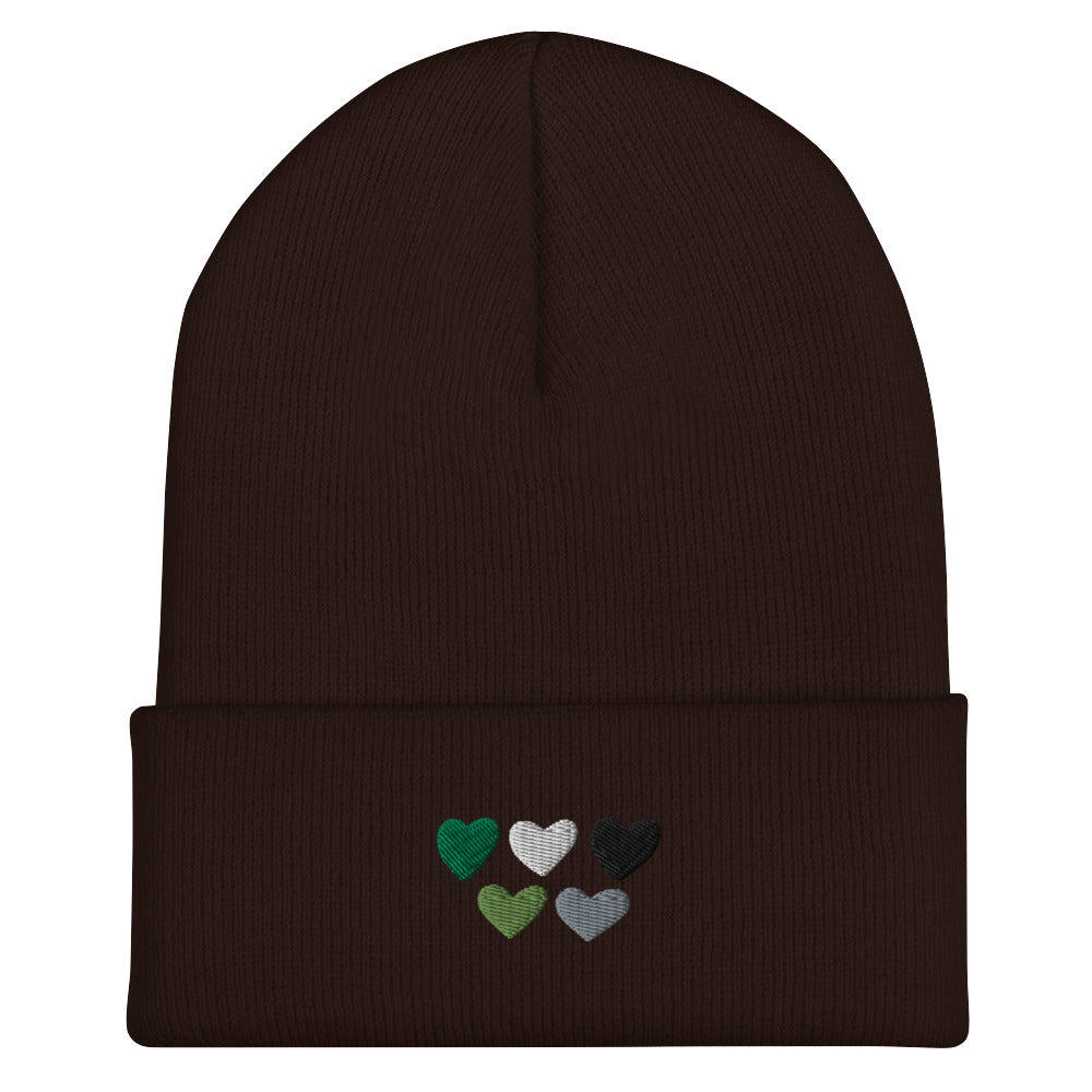 Aromantic / Demiromantic Pride Hearts Beanie