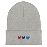 Omnisexual Pride Hearts Beanie
