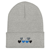 Demiboy Pride Hearts Beanie