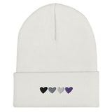 Asexual / Demisexual Pride Hearts Beanie