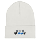 Demiboy Pride Hearts Beanie