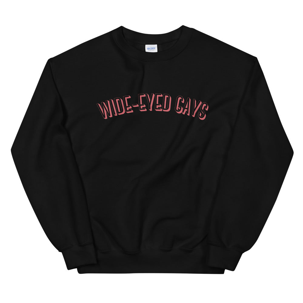 Wide-Eyed Gays Sweatshirt