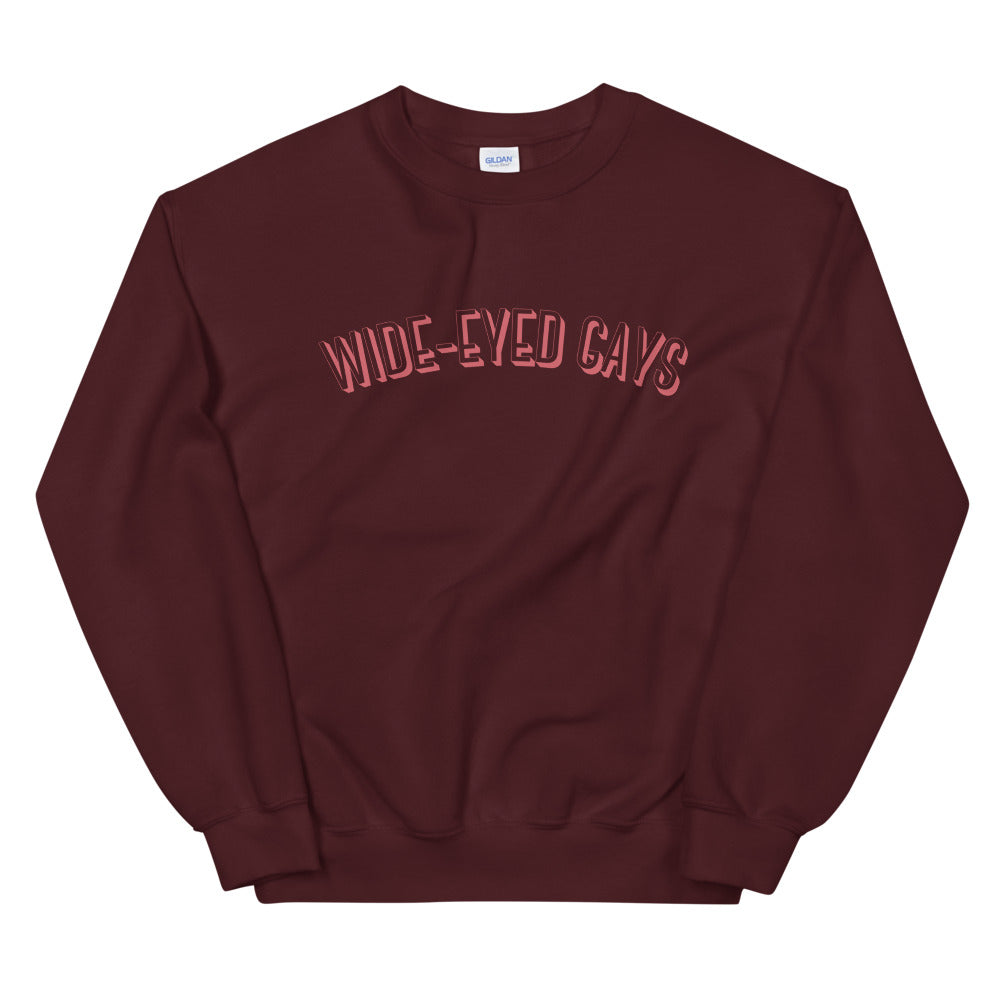 Wide-Eyed Gays Sweatshirt