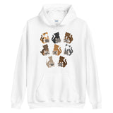 Protesting Cats Hoodie